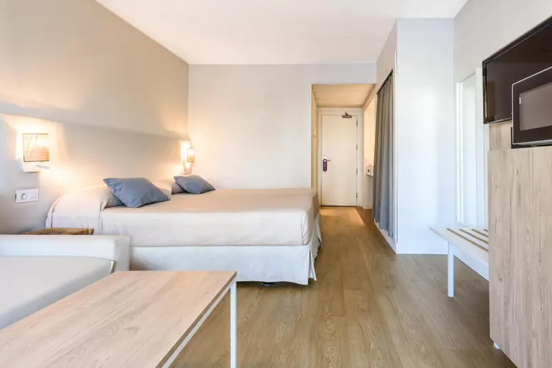 Une chambre lumineuse avec un lit double et un canapé convertible.