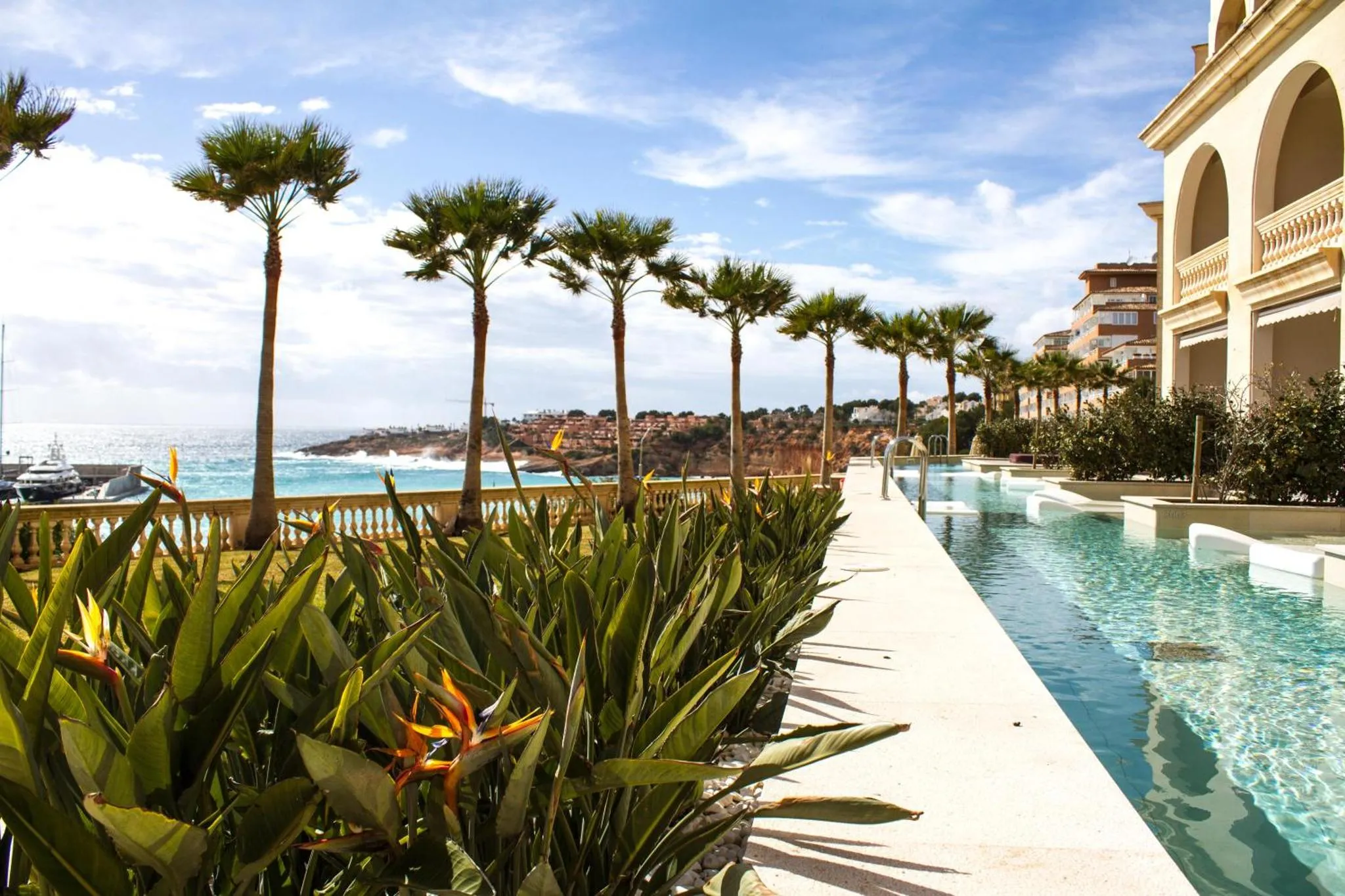 Une piscine rectangulaire bordée de palmiers et de végétation luxuriante offre une vue sur la mer.