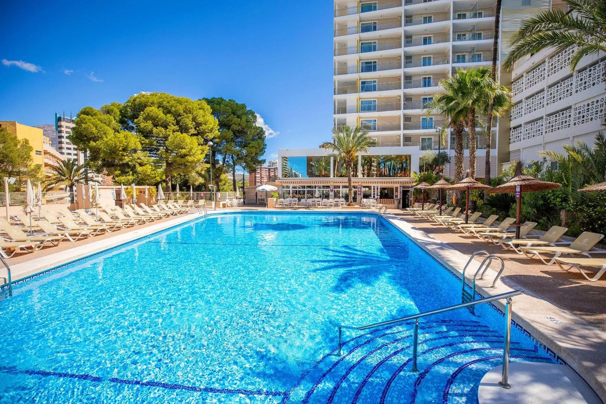 Une piscine rectangulaire bordée de transats et de palmiers sous un ciel bleu.