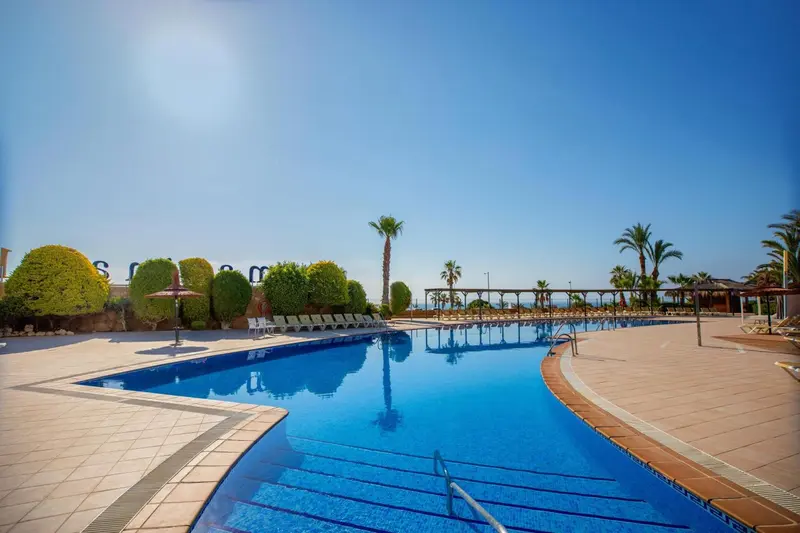 Piscine rectangulaire avec transats et parasols, entourée d'une terrasse ensoleillée.