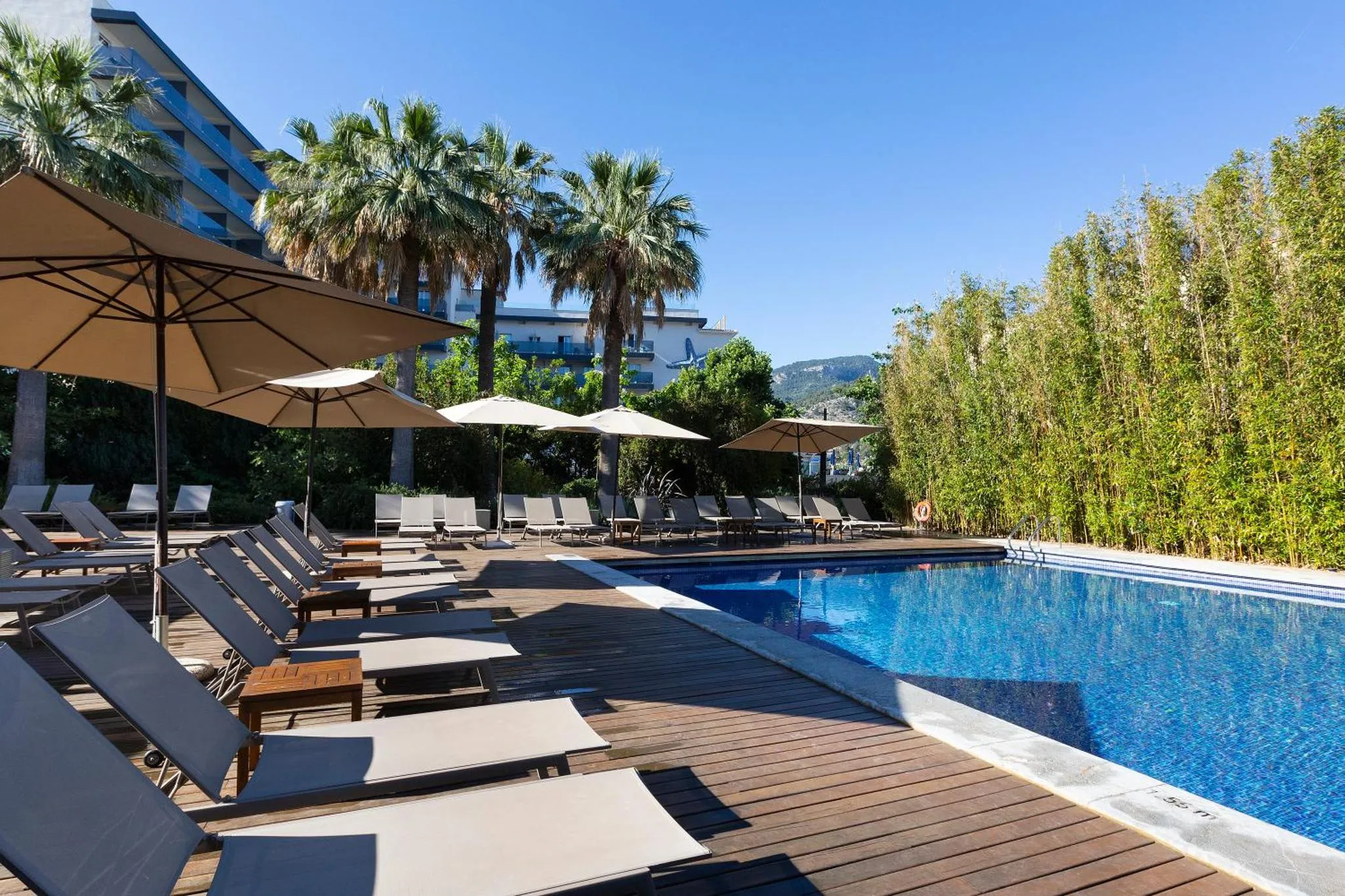 Transats alignés au bord d'une piscine rectangulaire sous des parasols.