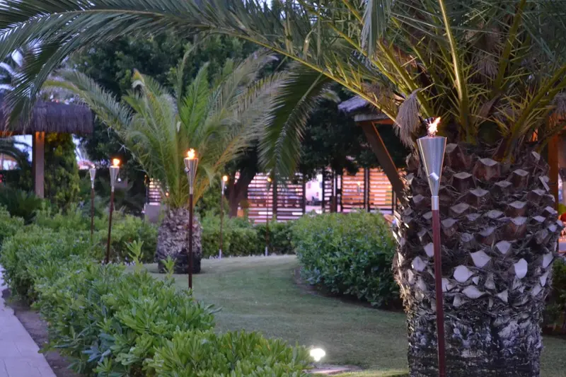 Allée bordée de torches illuminées dans un jardin tropical.