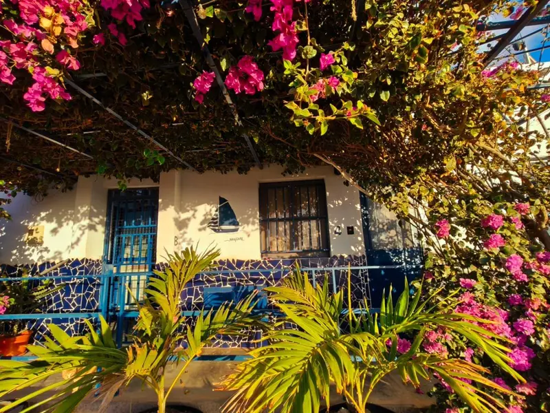 Façade d'un bâtiment blanc orné de bougainvillées roses et de motifs bleus.