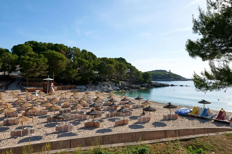 Une plage de sable avec des transats et des parasols face à une mer turquoise.