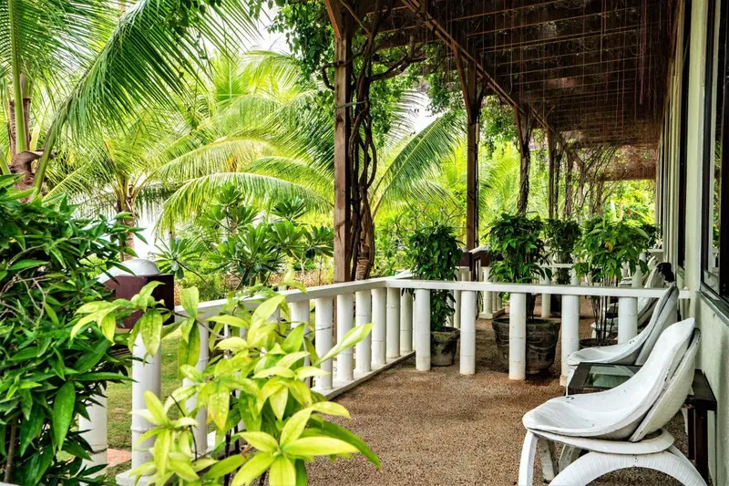 Terrasse ombragée avec mobilier d'extérieur et végétation tropicale.