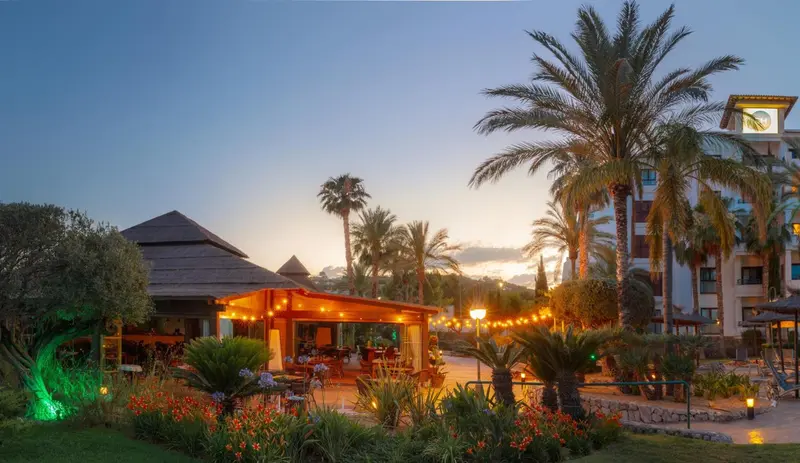 Terrasse illuminée avec végétation luxuriante au coucher du soleil.