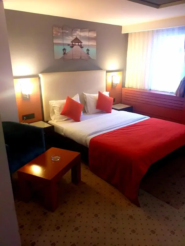 Une chambre d'hôtel avec un lit double et une décoration moderne.