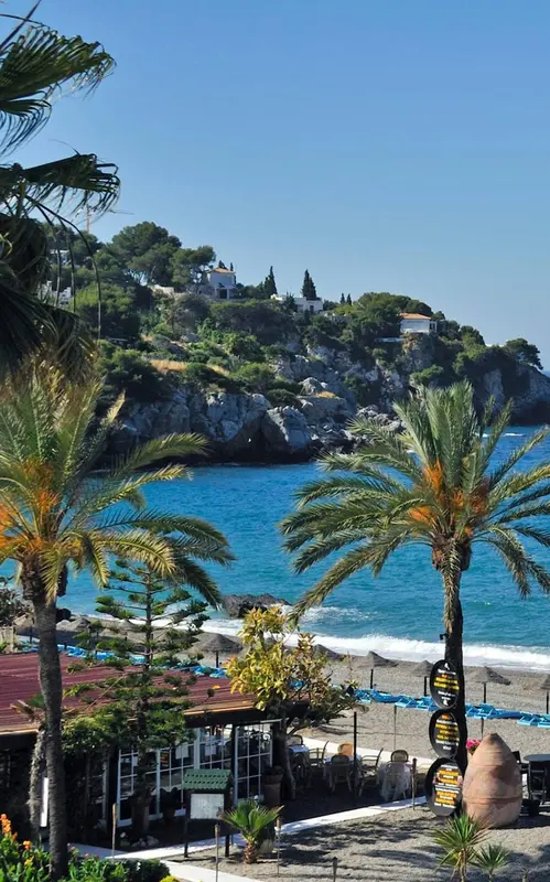 Vue sur une plage bordée de palmiers et une crique rocheuse.