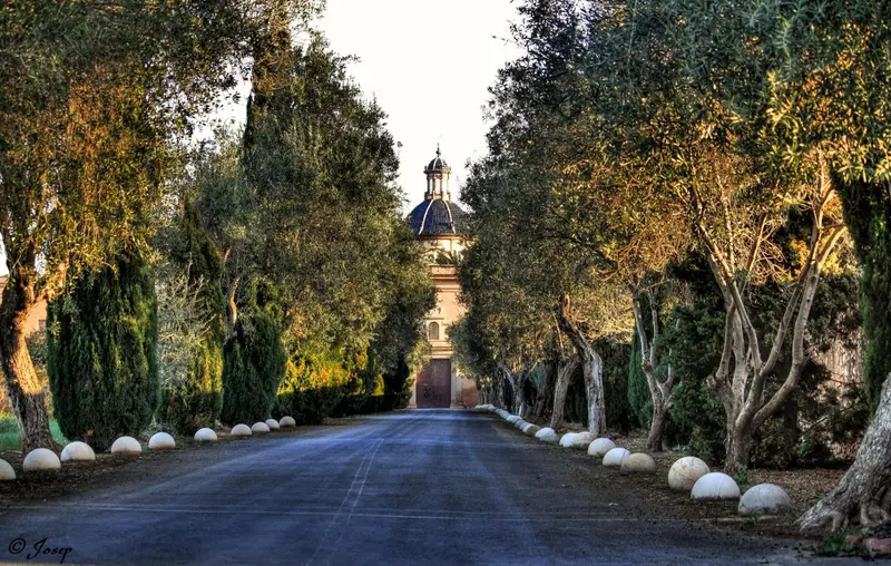 Allée bordée d'arbres menant à un bâtiment historique.