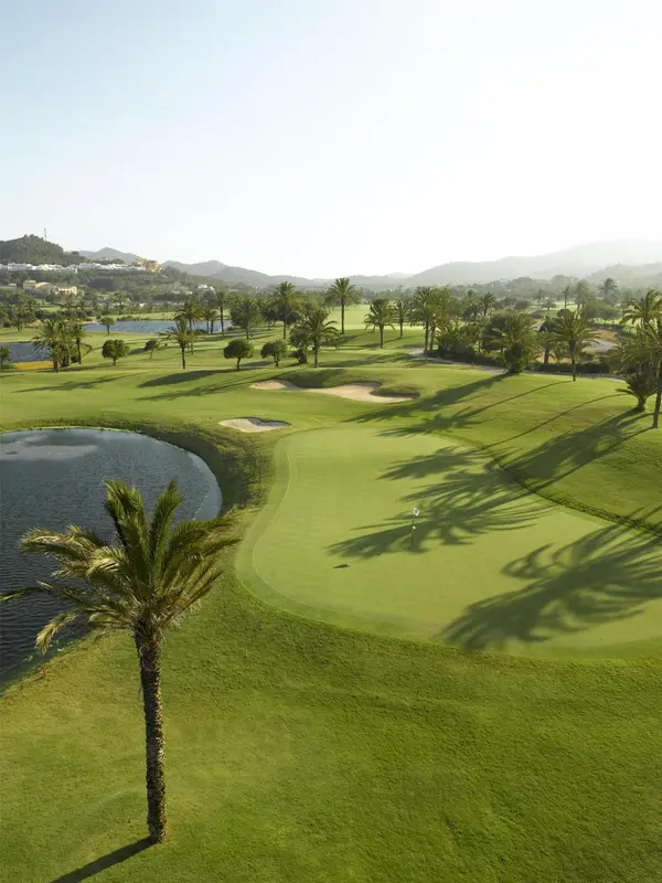 Vue aérienne d'un terrain de golf verdoyant avec un plan d'eau et des palmiers.