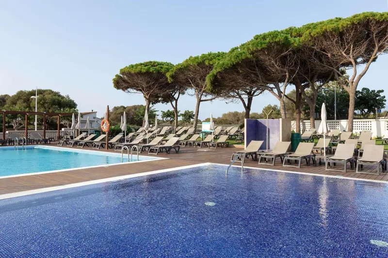 Transats alignés au bord d'une piscine sous des pins.