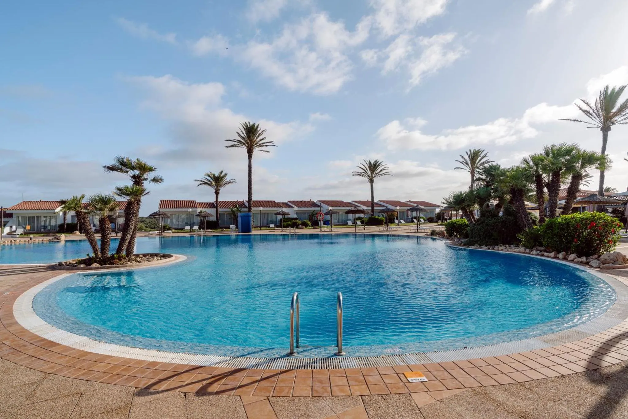 Piscine rectangulaire avec bord arrondi et palmiers en arrière-plan.