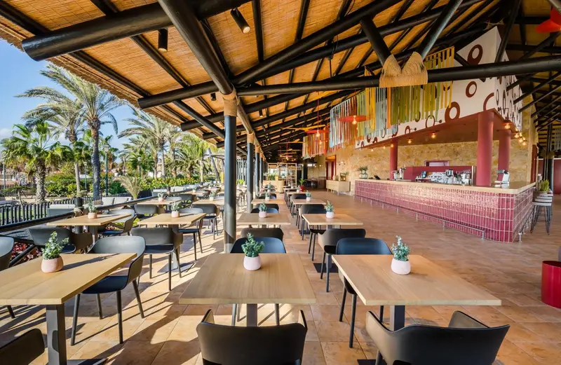 Terrasse ombragée avec tables et chaises, et un long comptoir de bar en fond.