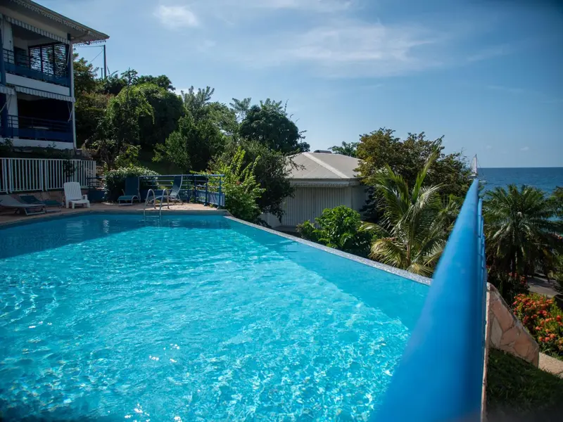 Une piscine à débordement surplombe la mer et une végétation luxuriante.