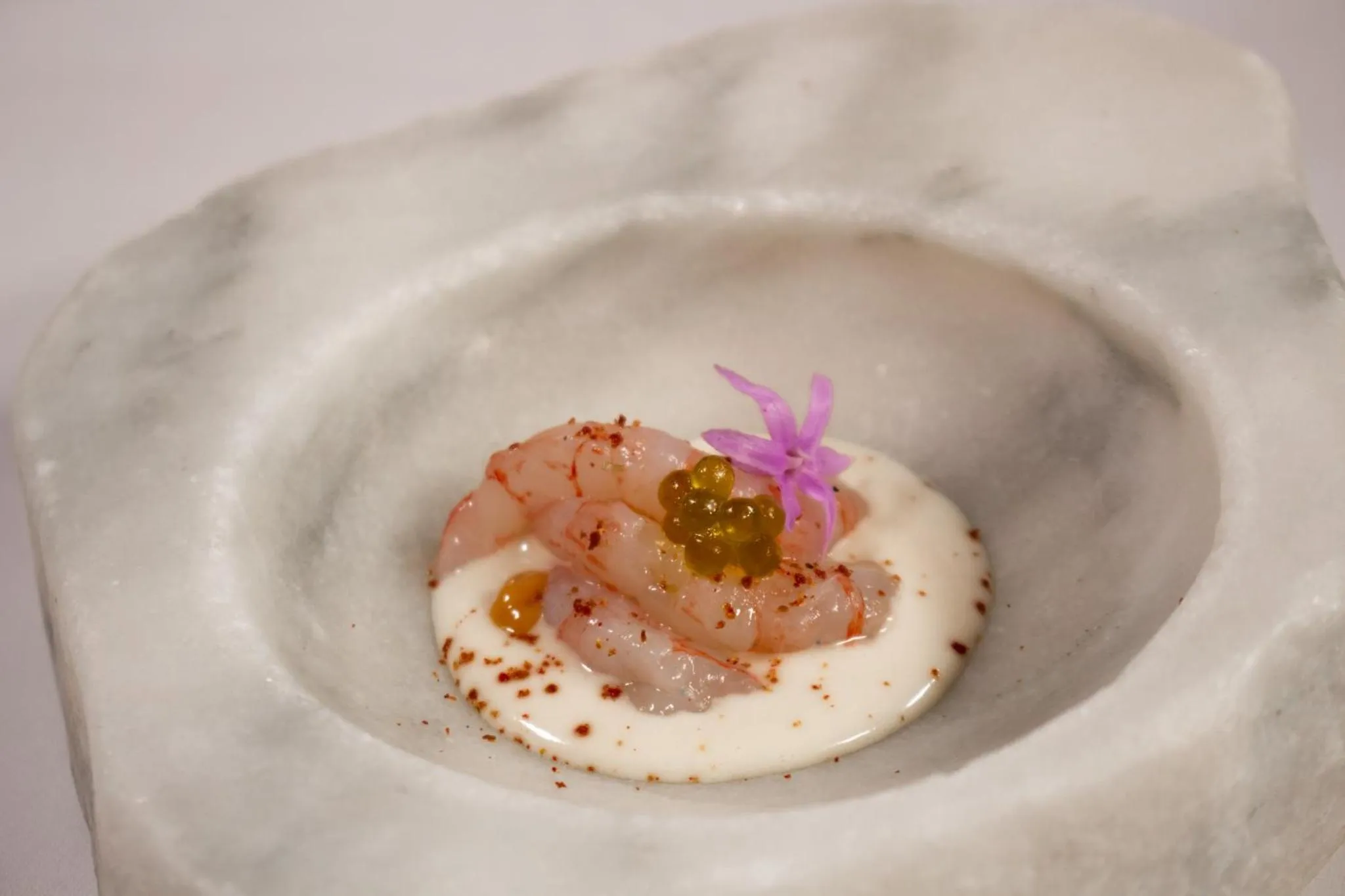 Assiette raffinée avec une présentation créative de fruits de mer.