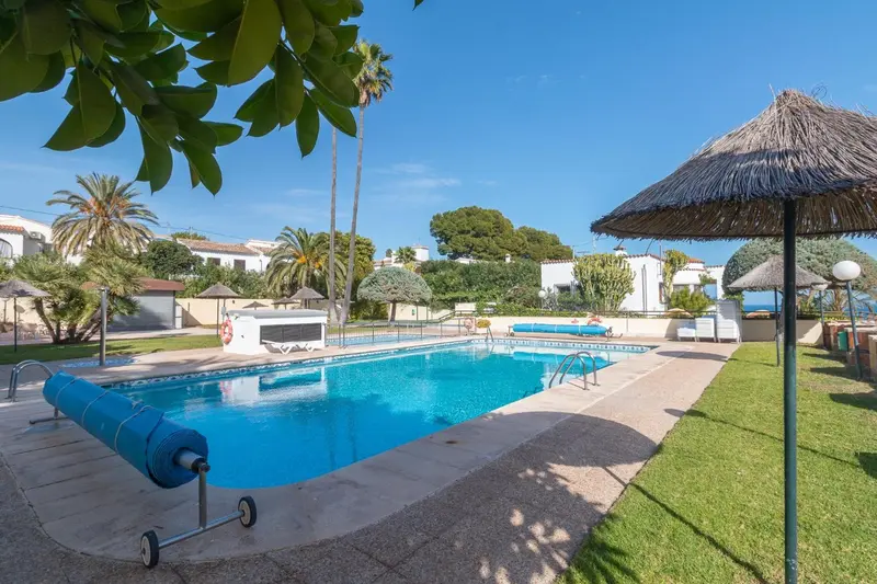 Piscine rectangulaire entourée d'une terrasse ensoleillée et de végétation luxuriante.