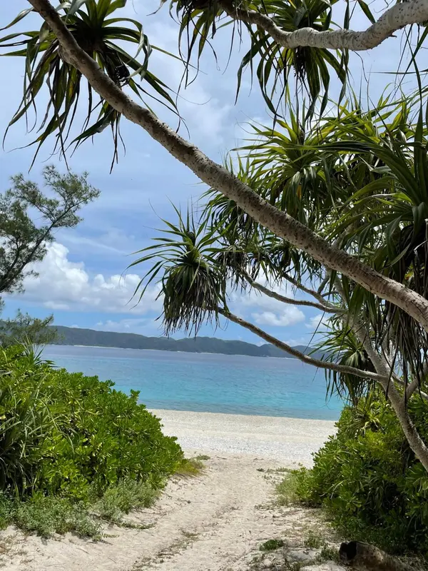 Un sentier sablonneux mène à une plage de sable blanc bordée d'une mer turquoise.