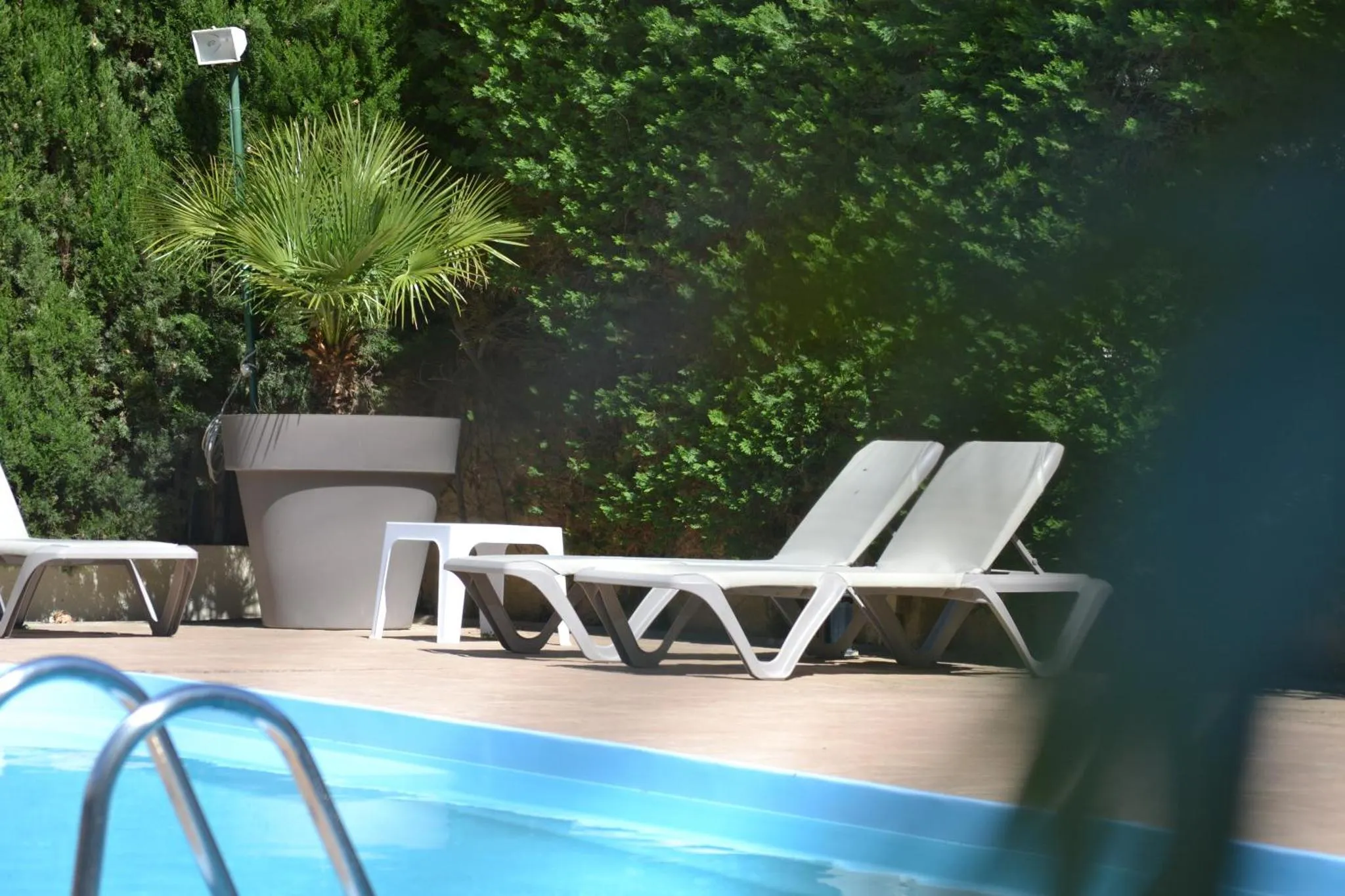 Transats blancs alignés près d'une piscine ensoleillée.