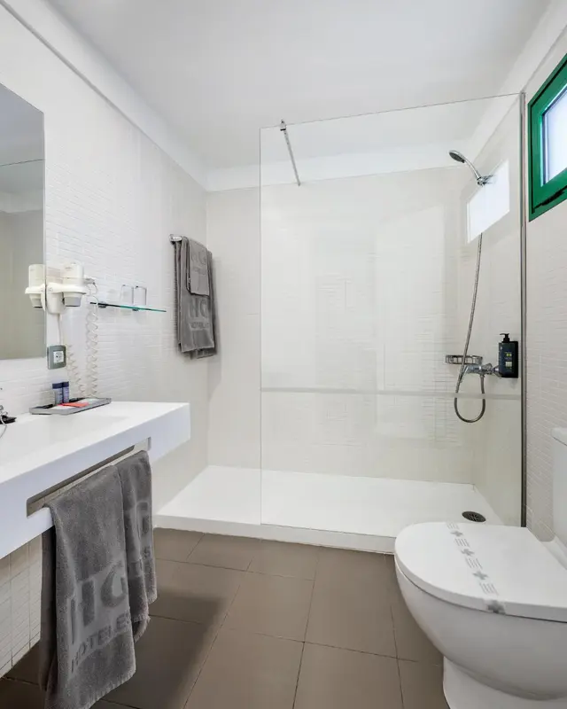 Une salle de bain moderne avec douche à l'italienne et WC.