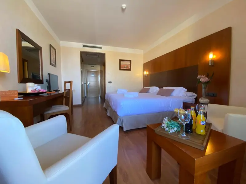 Une chambre lumineuse avec un grand lit et un coin salon.