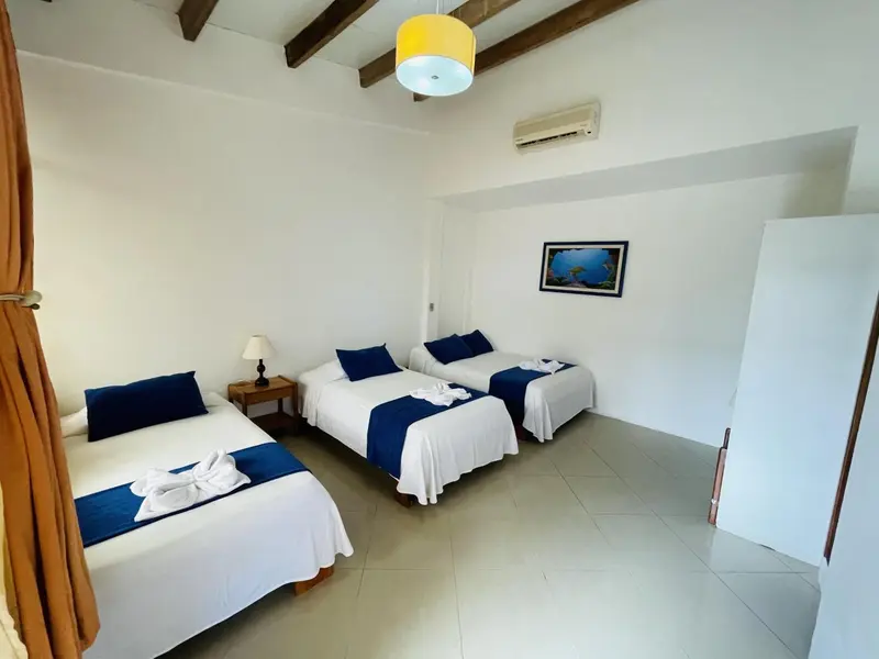 Chambre lumineuse avec deux lits simples et une décoration sobre.