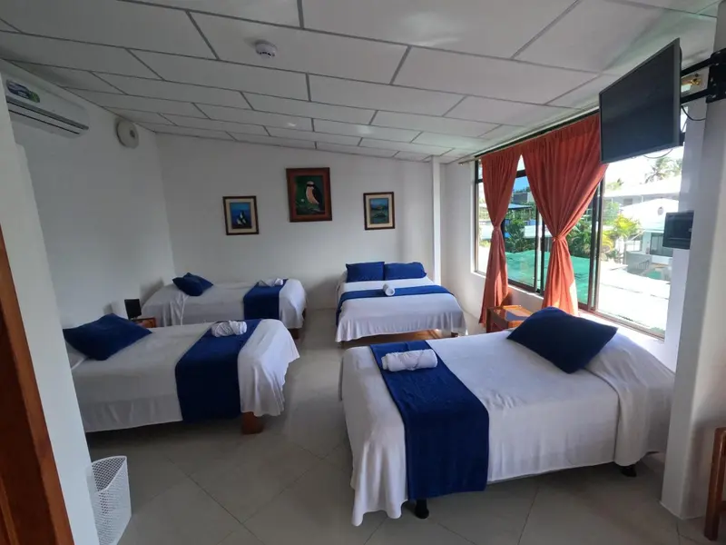 Une chambre lumineuse avec plusieurs lits simples et des oreillers bleus.
