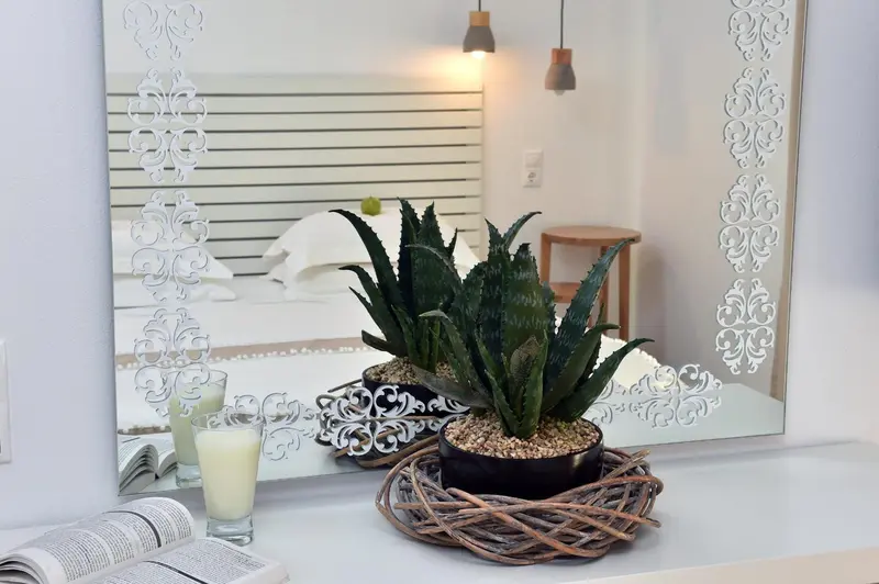 Une plante verte orne une commode blanche devant un grand miroir décoratif.