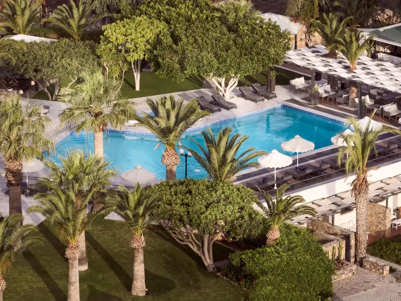 Vue aérienne d'une piscine entourée de transats et de végétation luxuriante.