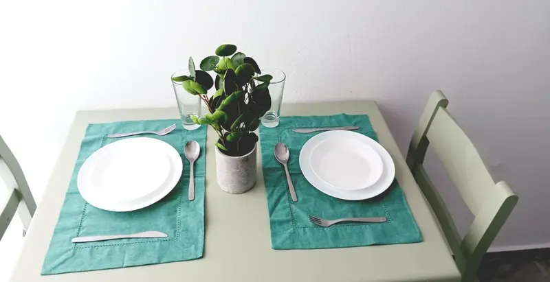 Une table est dressée pour un repas avec de la vaisselle et une plante.