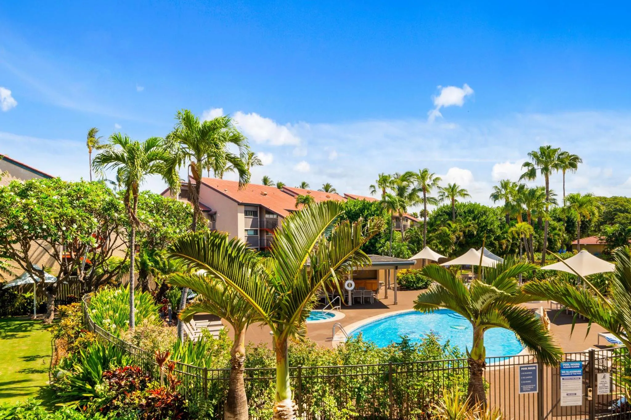 Une piscine bordée de végétation tropicale et de transats sous des parasols.
