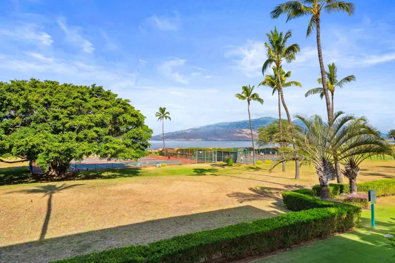 Paysage tropical avec terrain de tennis et végétation luxuriante.