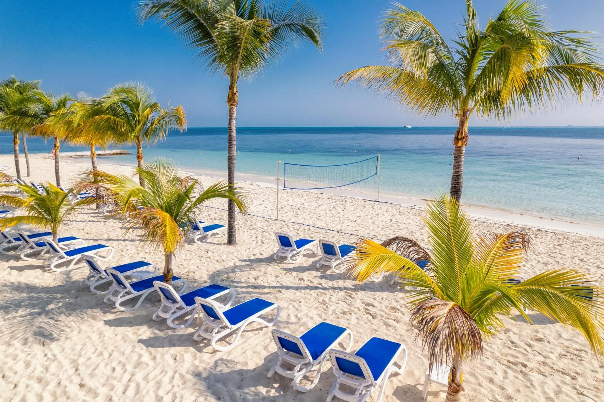 Transats bleus alignés sur une plage de sable blanc bordée de palmiers sous un ciel bleu.