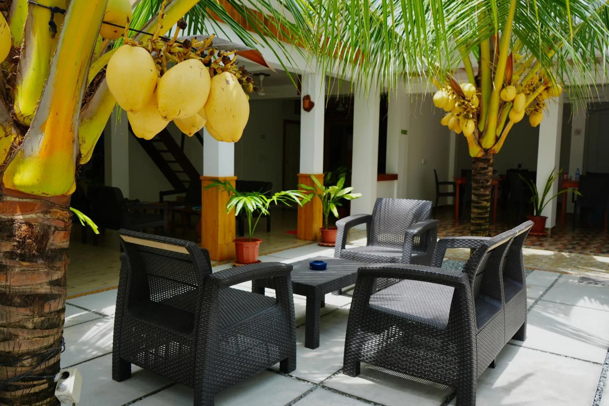 Espace de détente extérieur avec mobilier en résine tressée et palmiers.