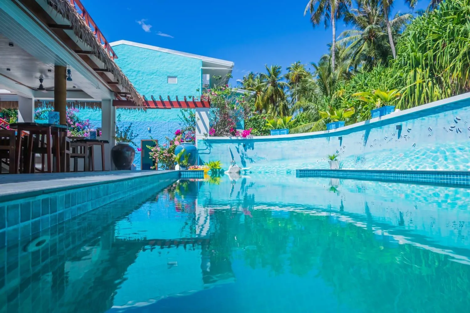Une piscine turquoise reflète un bâtiment coloré et une végétation luxuriante.