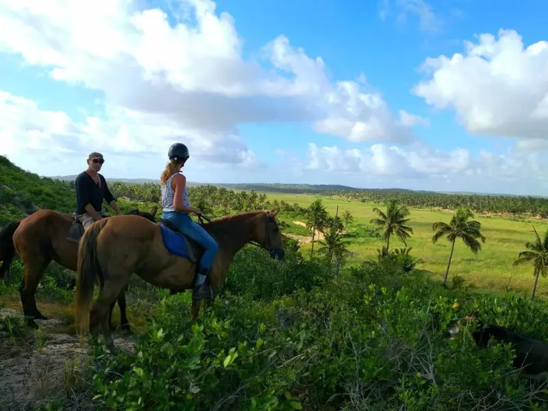 Deux personnes montent à cheval sur une colline verdoyante avec vue sur la côte.