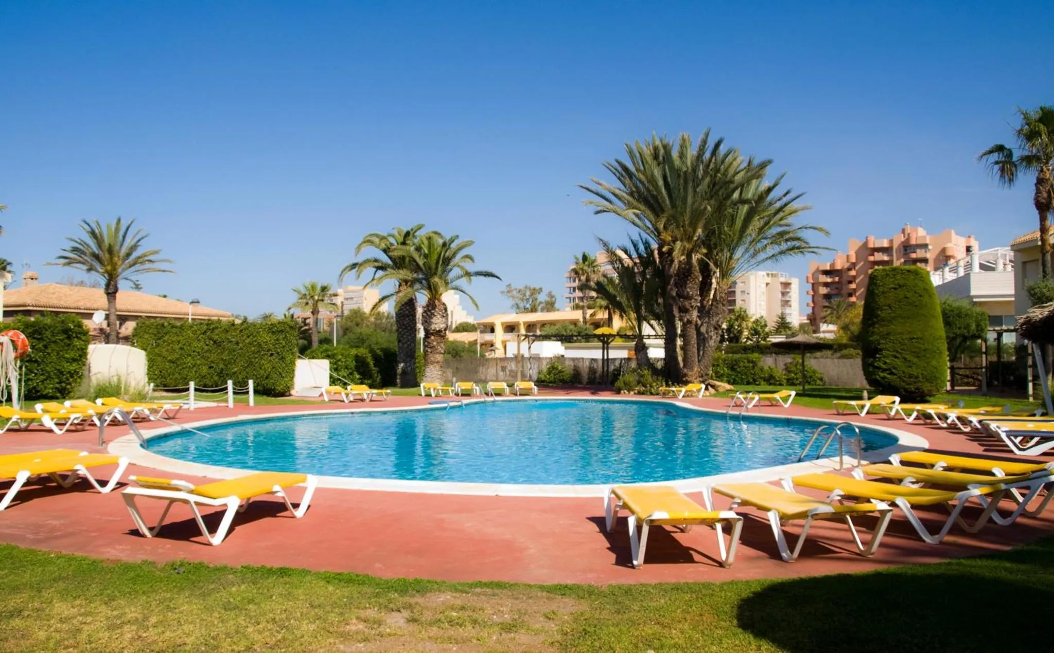 Une piscine ensoleillée avec des transats et des palmiers.