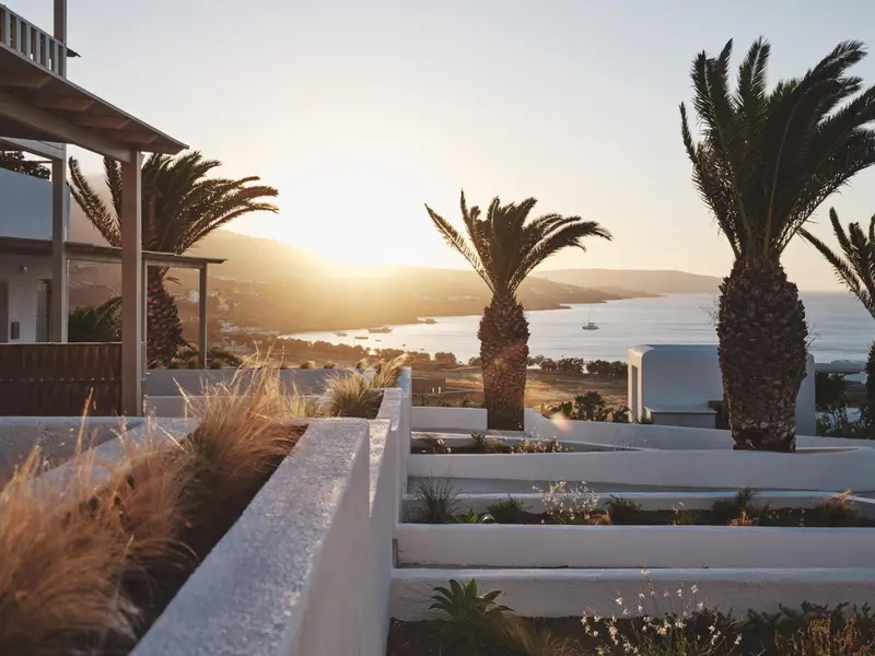 Terrasse avec végétation et vue sur la mer au coucher du soleil.