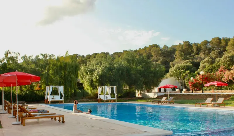 Une piscine bordée de transats et de parasols, avec une végétation luxuriante en arrière-plan.