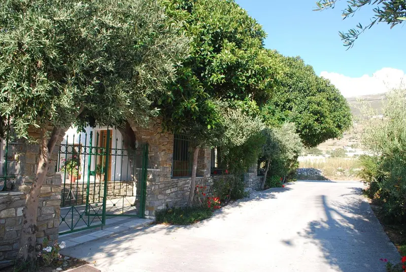 Facade en pierre d'une maison ombragée par des arbres.