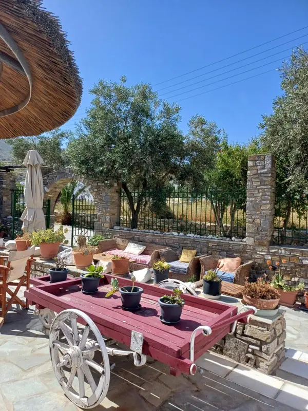Terrasse ombragée avec mobilier de jardin et plantes en pots.