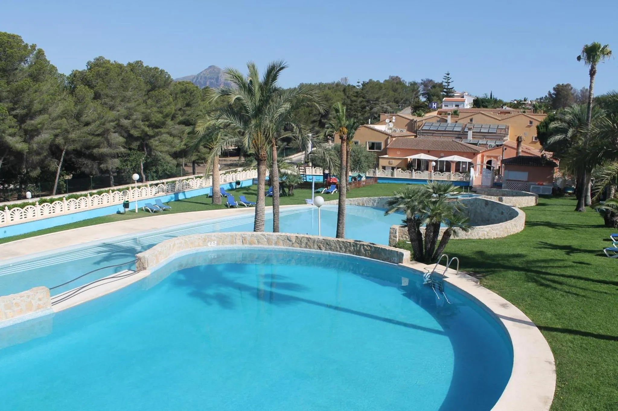 Deux piscines sinueuses bordées de pelouse et de palmiers, avec des transats bleus.