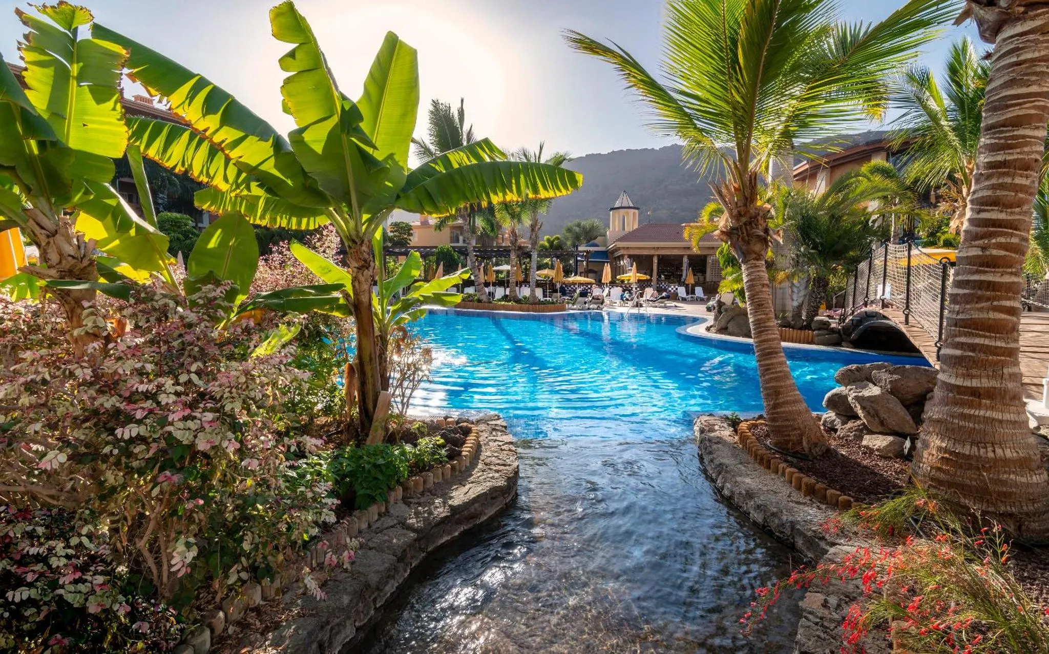 Une piscine bordée de végétation tropicale et de transats.