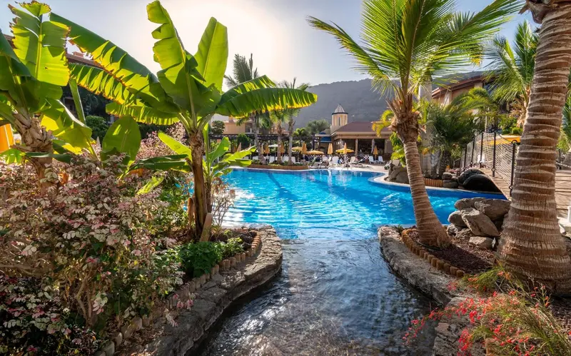 Une piscine bordée de végétation tropicale et de transats.