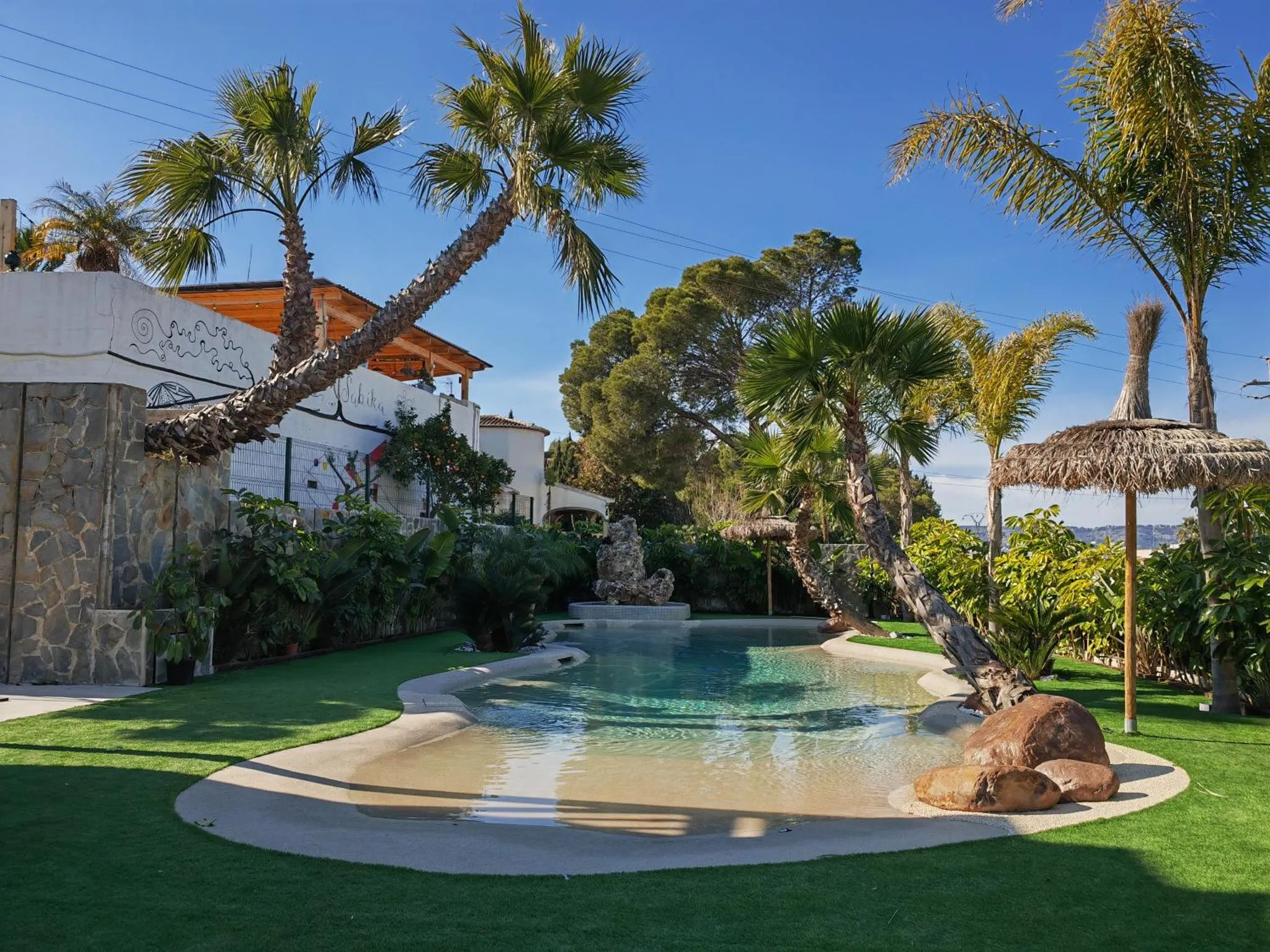 Une piscine au bord d'une pelouse verdoyante, entourée de végétation luxuriante et de palmiers.