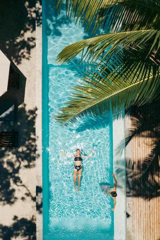 Vue aérienne d'une piscine rectangulaire bordée de végétation tropicale avec des personnes se baignant.