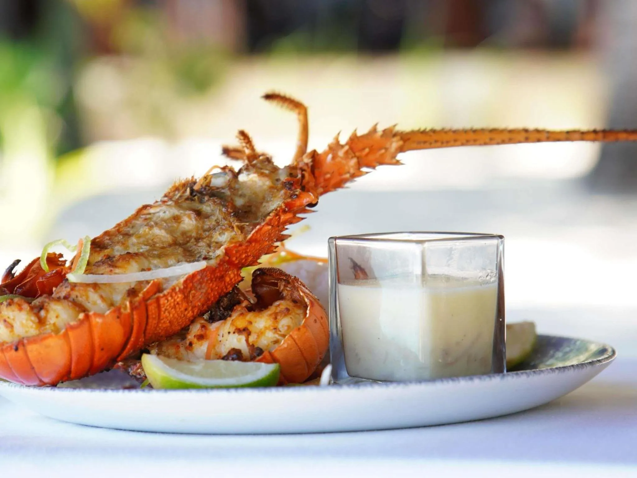 Un plat de homard grillé est servi avec une sauce et des quartiers de citron vert.
