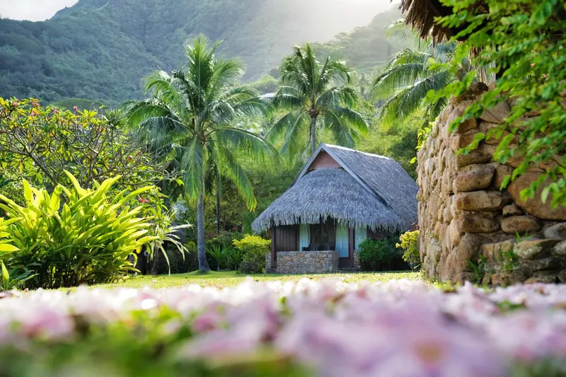 Une petite maison au toit de chaume se fond dans un paysage tropical luxuriant.
