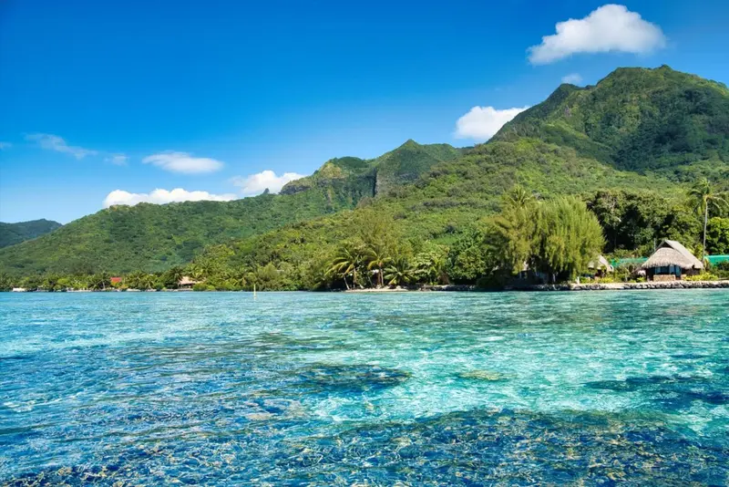 Vue sur une côte tropicale avec une eau turquoise et des montagnes verdoyantes.