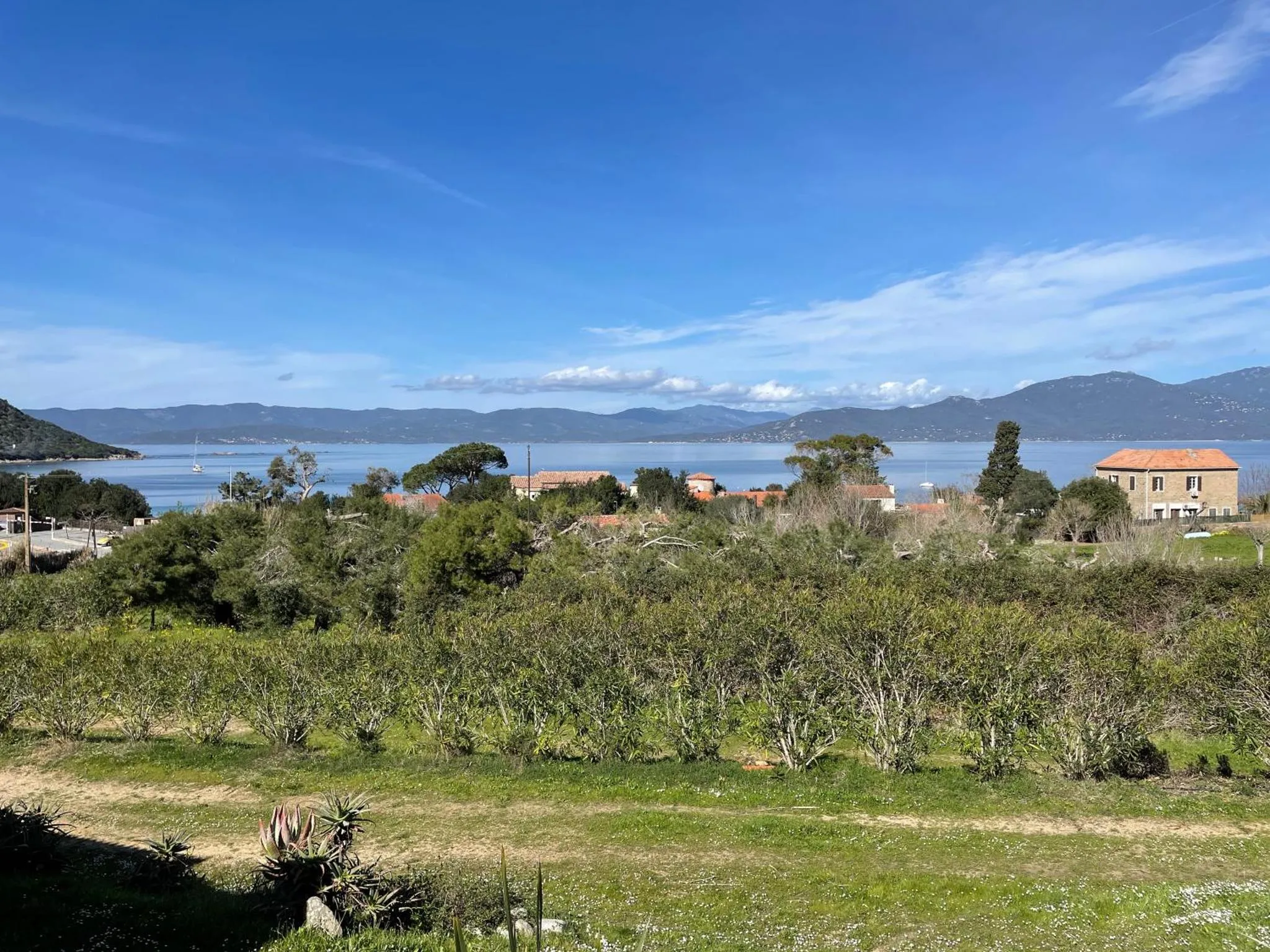 Paysage ensoleillé avec végétation, bâtiments et vue sur la mer.