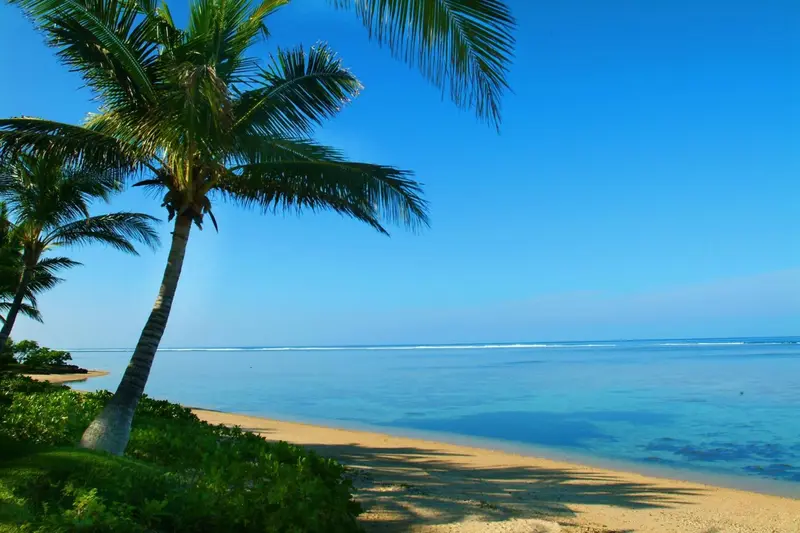 Ciel bleu et palmiers surplombant une plage de sable fin.